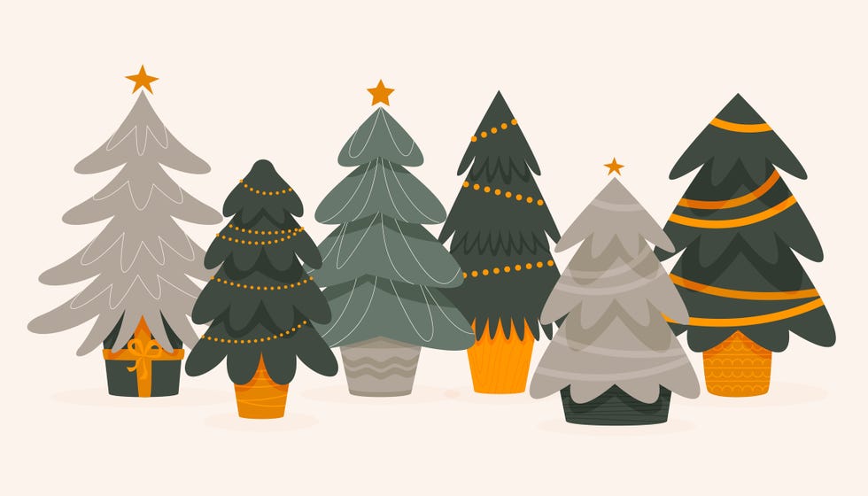 when should you put your christmas tree up