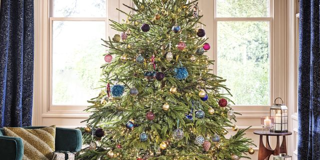 When To Put Up Your Christmas Tree Conundrum Solved