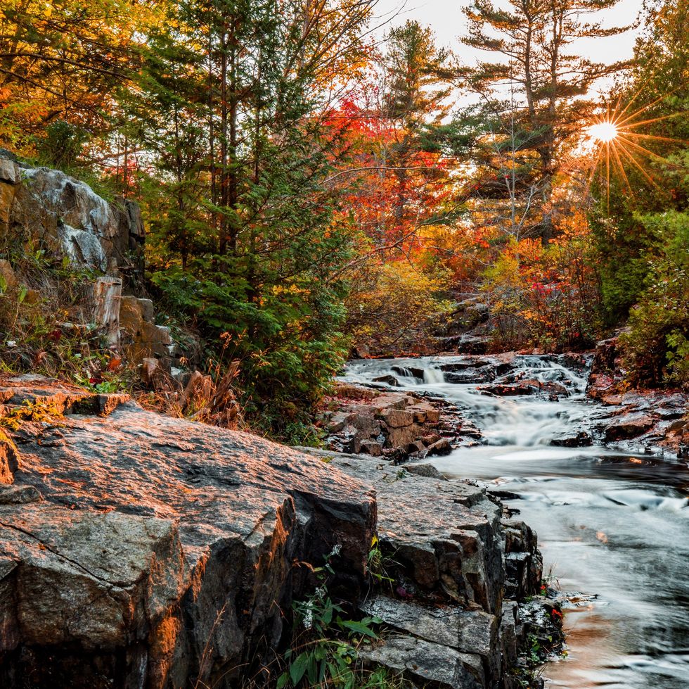 rocks and stream in fall foliage wooded area in bar habor maine