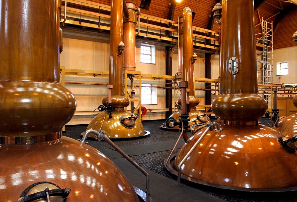 Stills in a whisky distillery