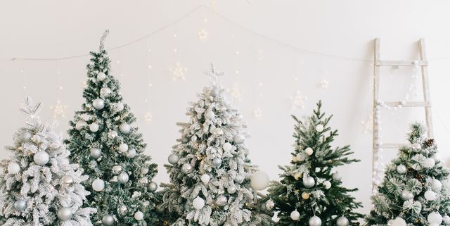 https://hips.hearstapps.com/hmg-prod/images/white-christmas-tree-decorations-1666211535.jpg?crop=1.00xw:0.752xh;0,0.149xh&resize=640:*