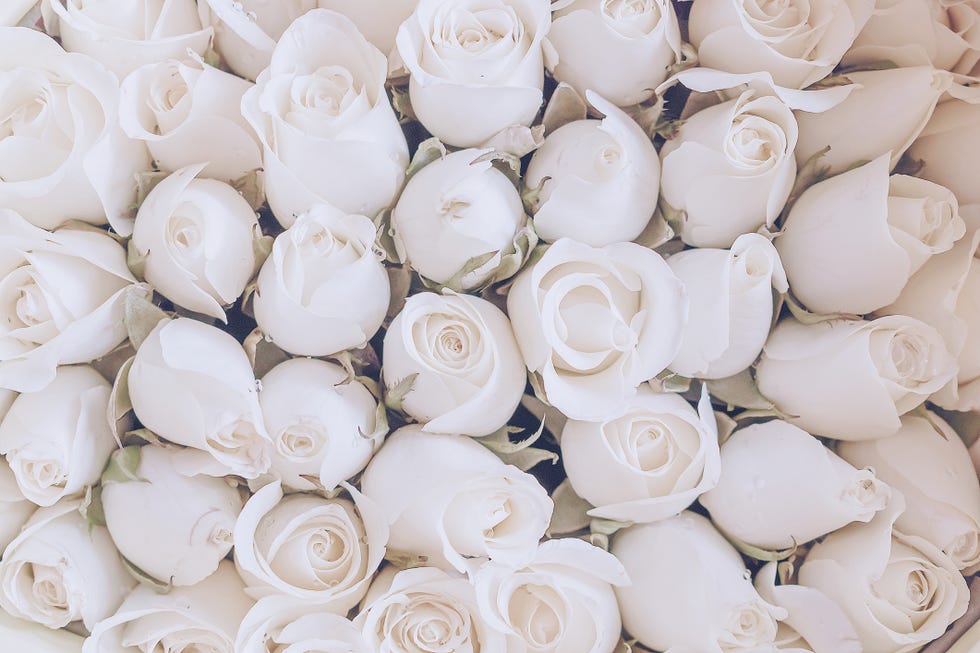 What Your Favorite Color Says About You, According to an Expert