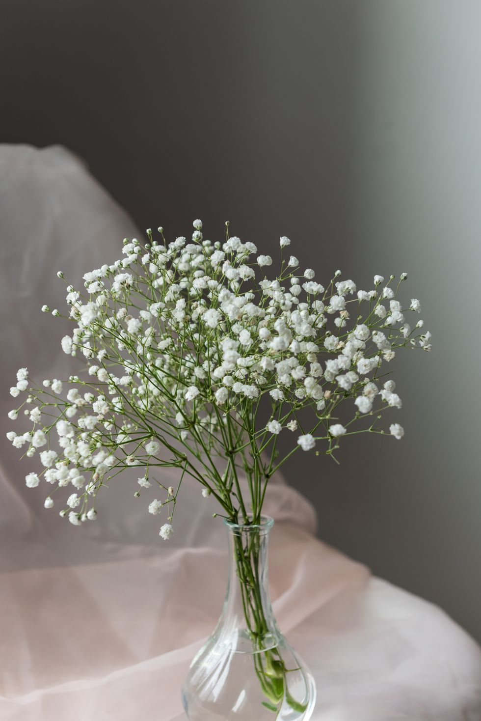 white flowers, selective focus. elegant white gypsophila flower in vase