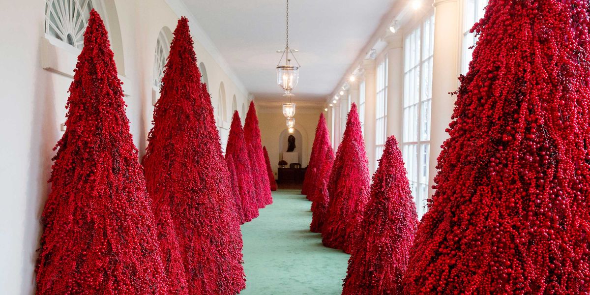 White House Christmas decorations confuse Twitter yet again