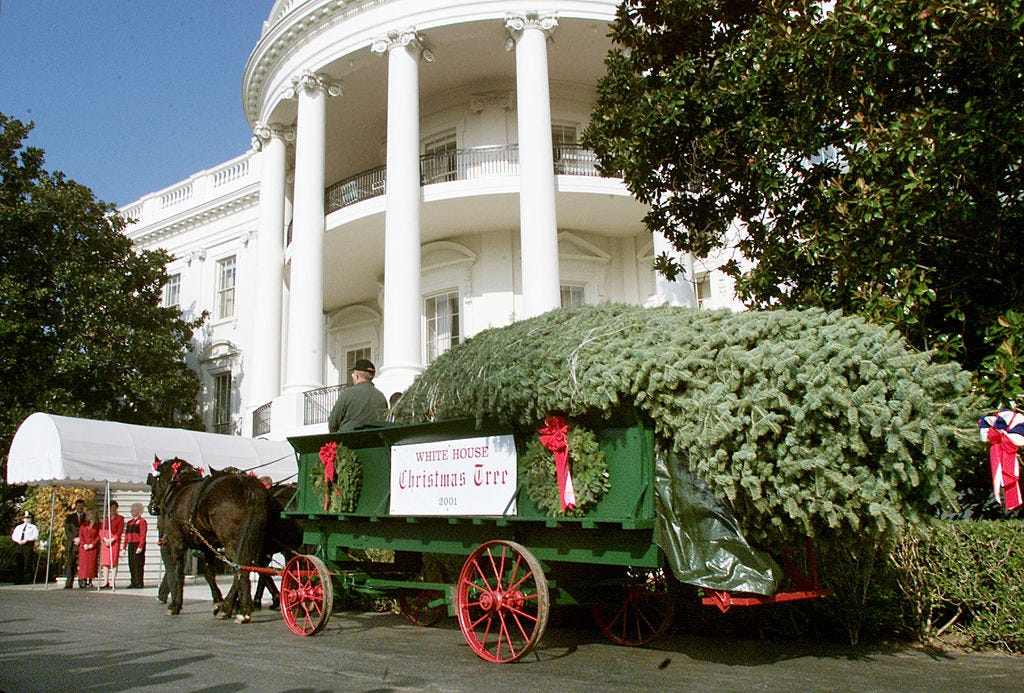 White House Christmas Trees - Facts and History Behind White House Christmas Tree