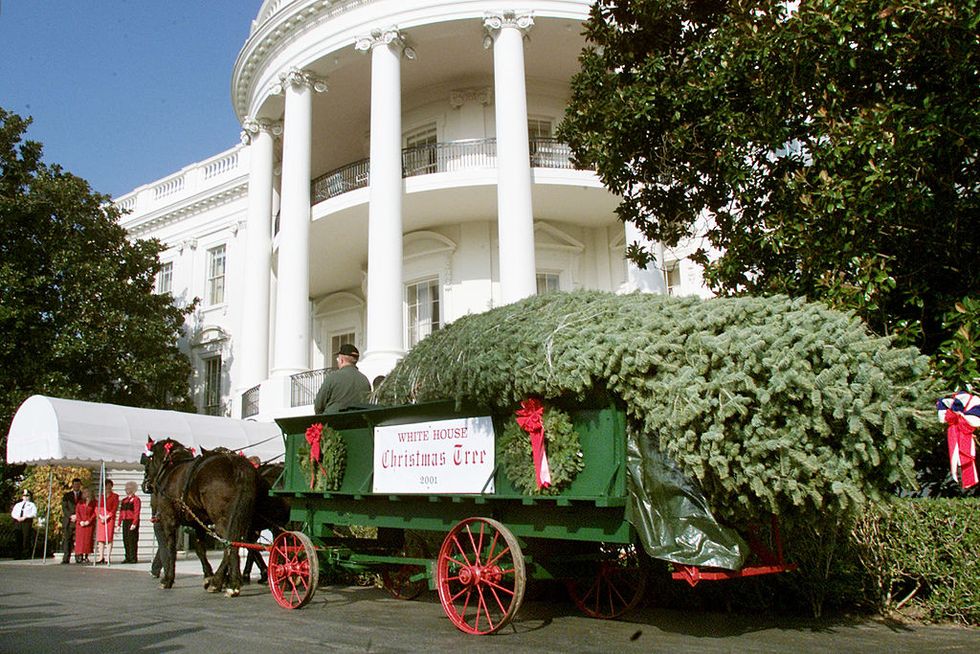 white house christmas tree arrives on cart