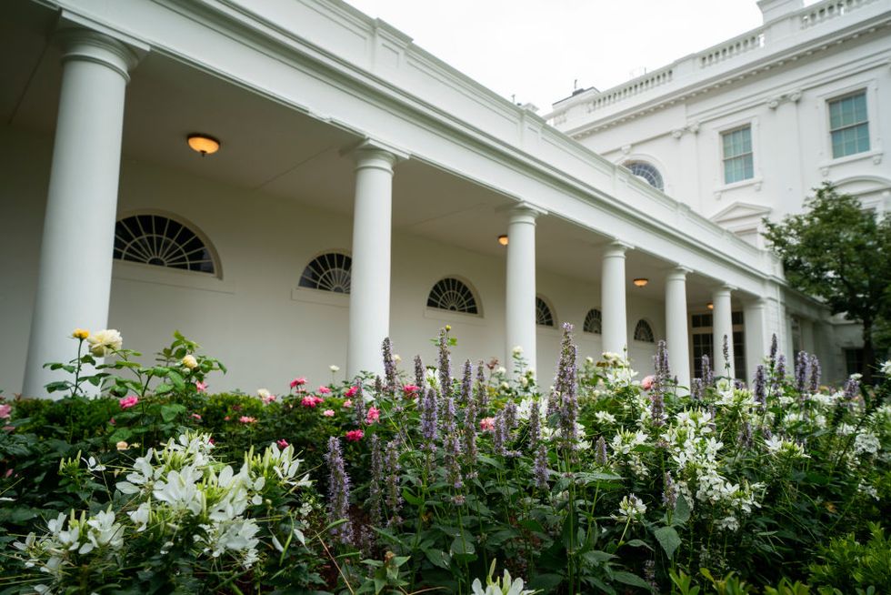 washington, dc   august 22 a view of the recently renovated rose garden at the white house on august 22, 2020 in washington, dc the rose garden has been under renovation since last month and updates to the historic garden include a redesign of the plantings, new limestone walkways and technological updates to the space photo by drew angerergetty images