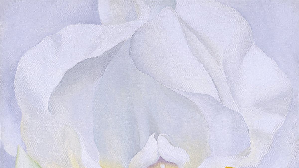 preview for Fiore di loto: il suo significato nella simbologia