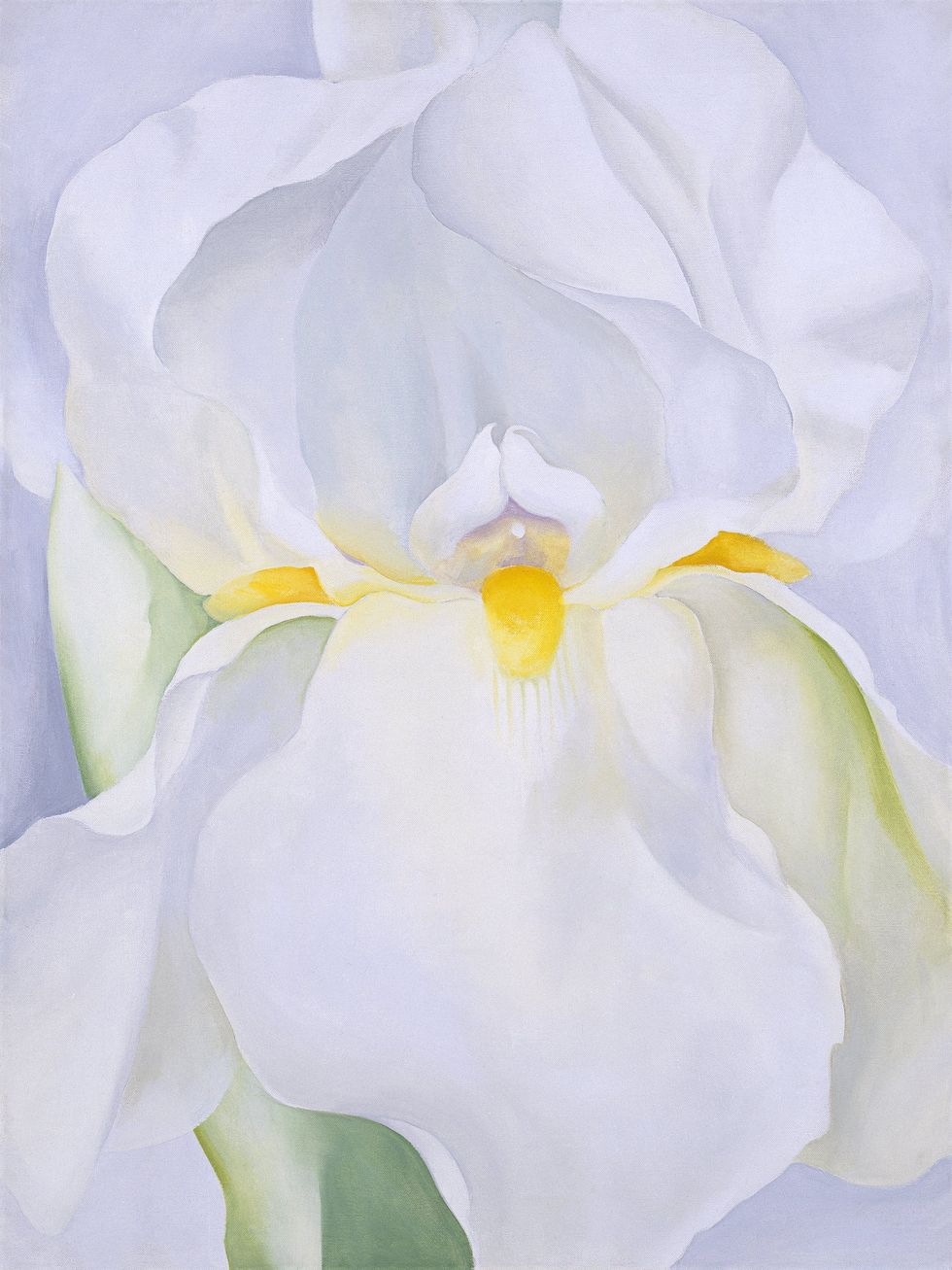 georgia o'keeffe, iris blanc, flower power, flower art, museo nacional thyssen bornemisza