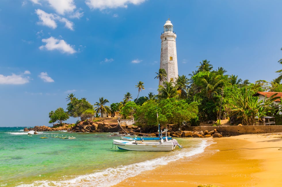 white lighthouse dondra head and tropical palms, sri lanka