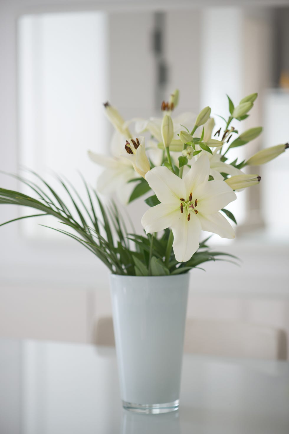 white lily flower in a vase