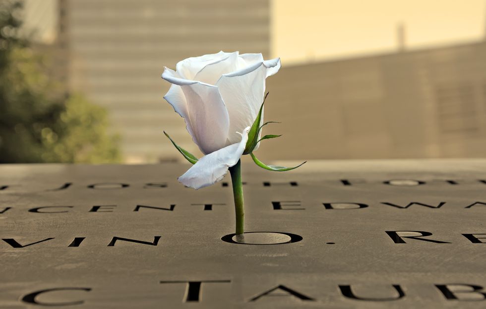 White rose at the 9-11 Memorial in New York City
