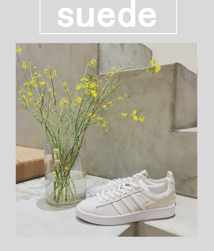 Footwear, Yellow, Shoe, Plant, Sneakers, Flower, Wildflower, Still life, 