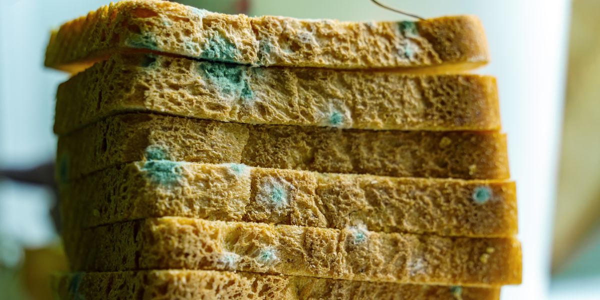 What Happens If You Accidentally Eat Mold? - Prevention.com
