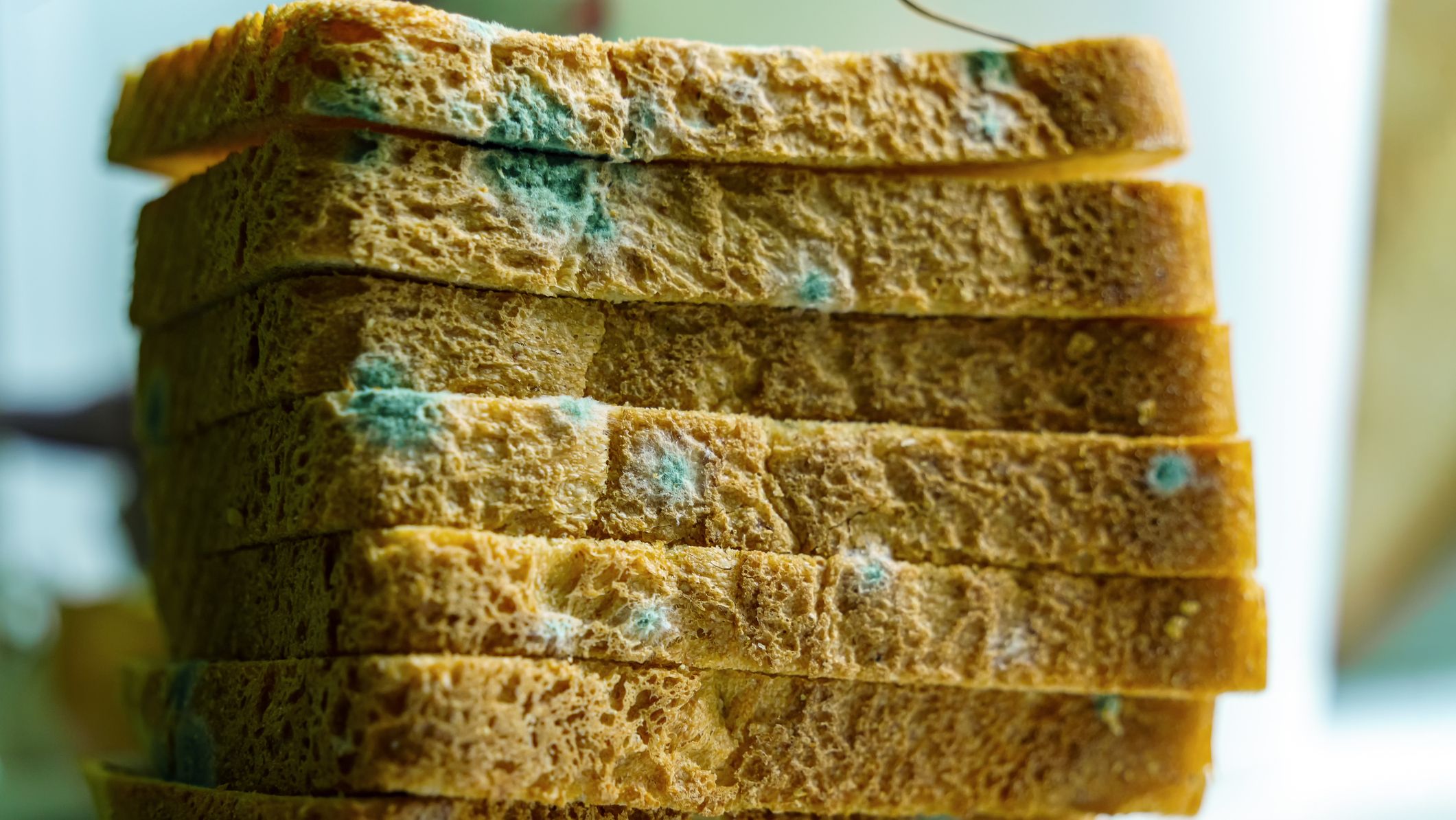 https://hips.hearstapps.com/hmg-prod/images/white-sliced-bread-affected-by-green-mold-royalty-free-image-1656444992.jpg?crop=1xw:0.84415xh;center,top