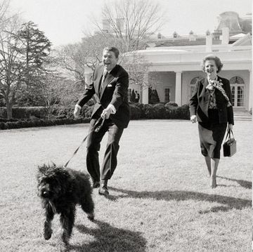 アメリカ合衆国大統領が居住し、執務を行う公邸と言えばホワイトハウス。実は歴代大統領家族は動物好きが多く、ホワイトハウスでペットを飼っていた事例がほとんど！今回は、大統領の大切な家族である歴代ペットをご紹介。