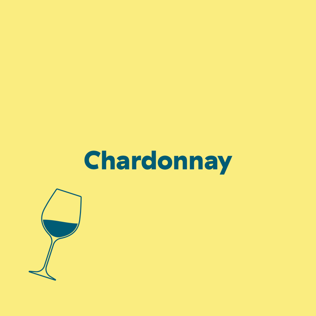 Common Types of Wine (top varieties to know)