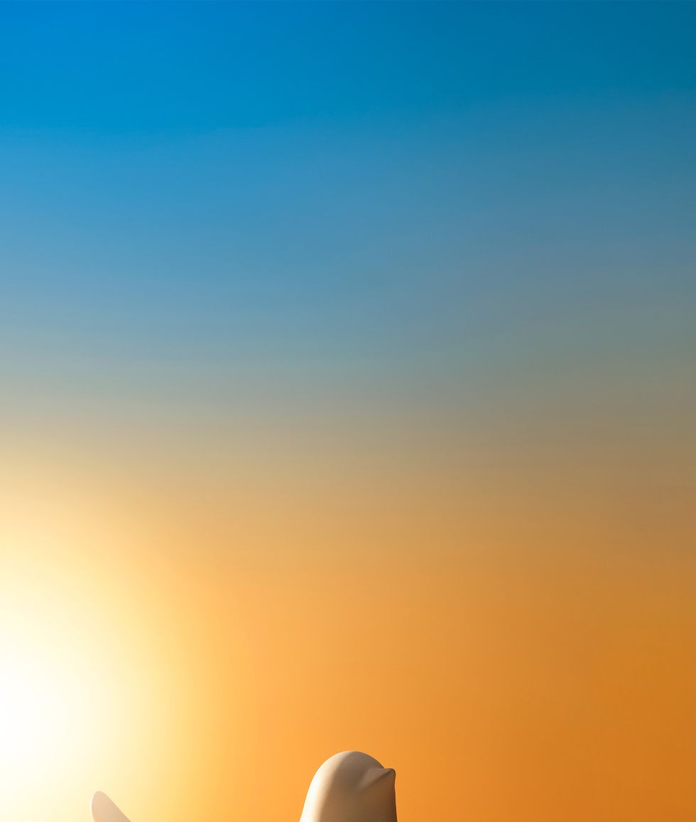 two porcelain birds with a sunrise background