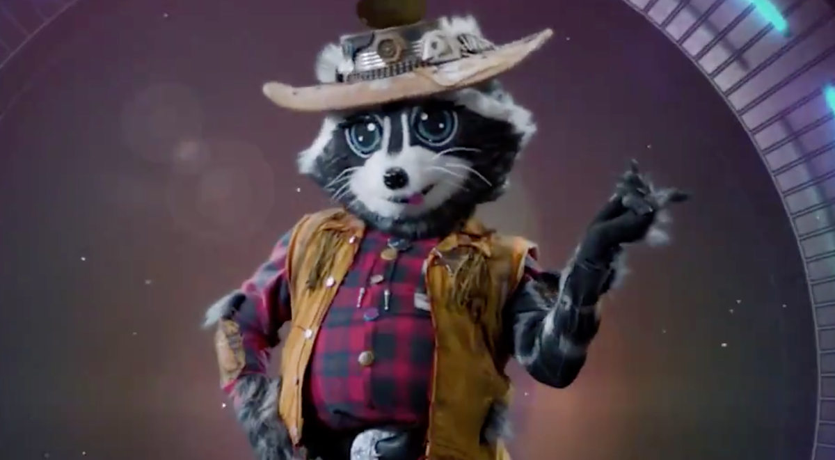 Who Is Raccoon On The Masked Singer The Raccoon Revealed Spoilers Clues And Season 5 Guesses