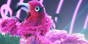 who is the flamingo on the masked singer