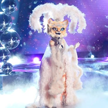 who-is-the-kitty-masked-singer