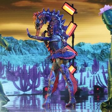 who is the seahorse masked singer
