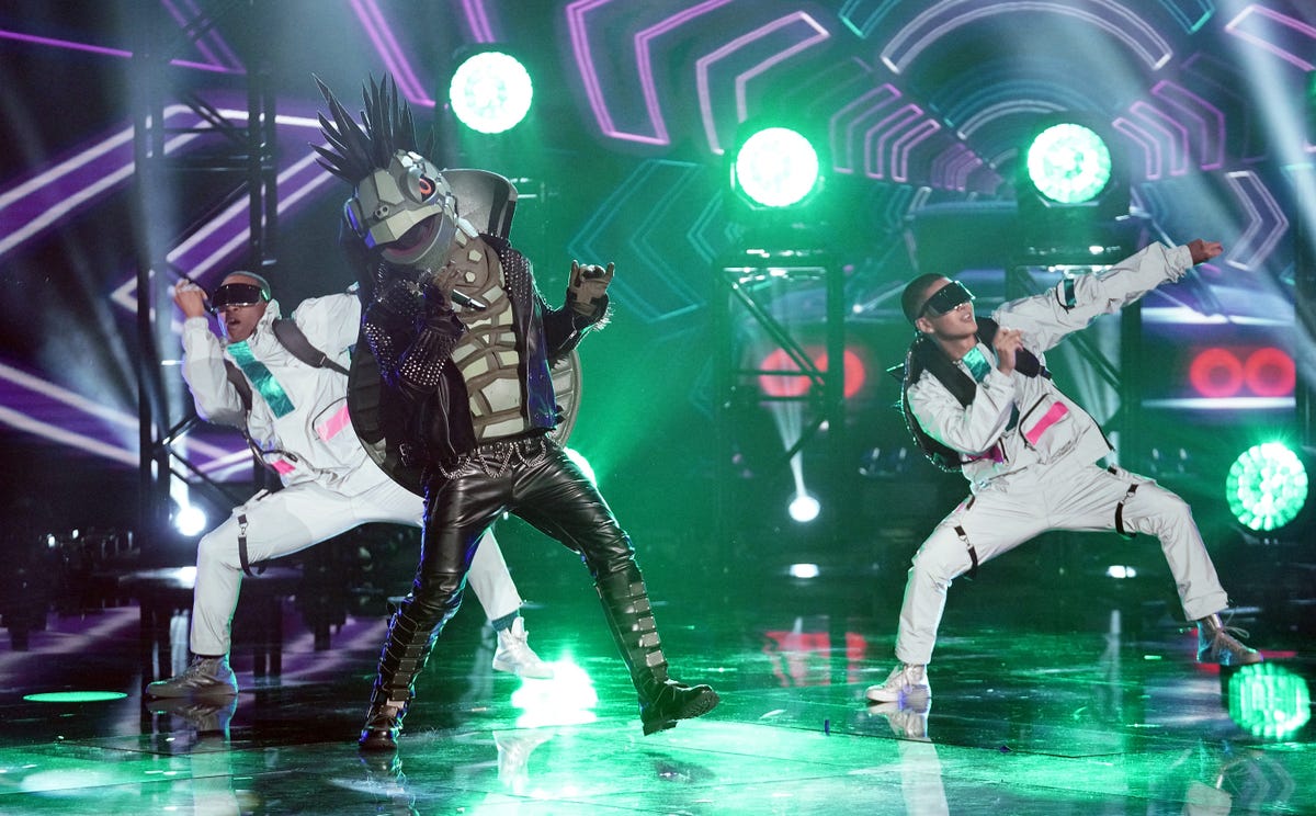 Who Is The Turtle On 'The Masked Singer'? — Clues and Guesses