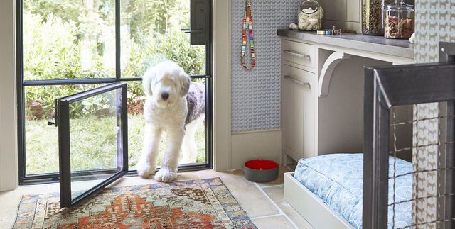 53+ Dog Room Ideas - How to Create a Dog Room - Happy Oodles