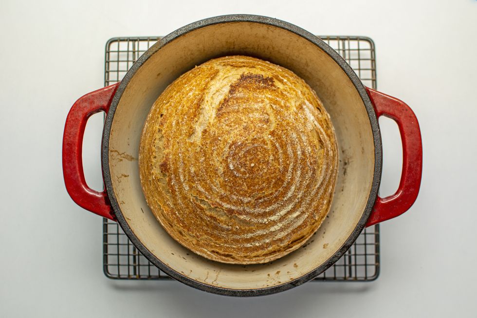 whole wheat bread baked in dutch oven cast iron