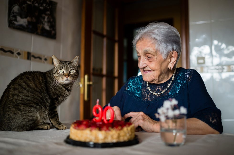 Why Cats Make Best Pets - Live For a Long Time