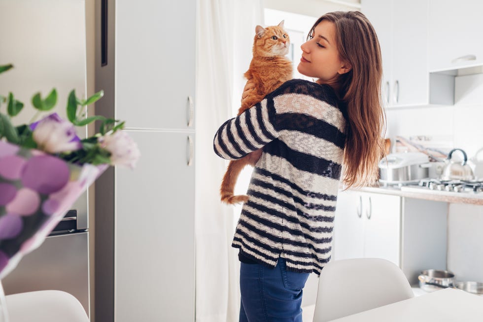 Why Cats Are Best Pets Therapeutic