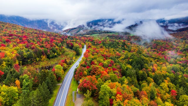 why-do-leaves-change-color-in-the-fall-the-science-behind-it-all