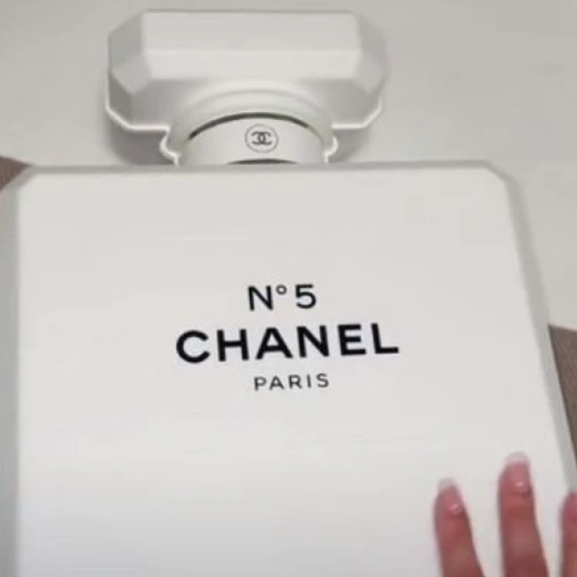 Chanel's TikTok Challenge