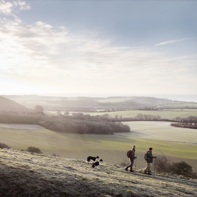 reasons the boxing day walk is the best walk of the year