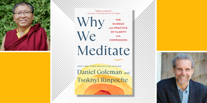 why we meditate
