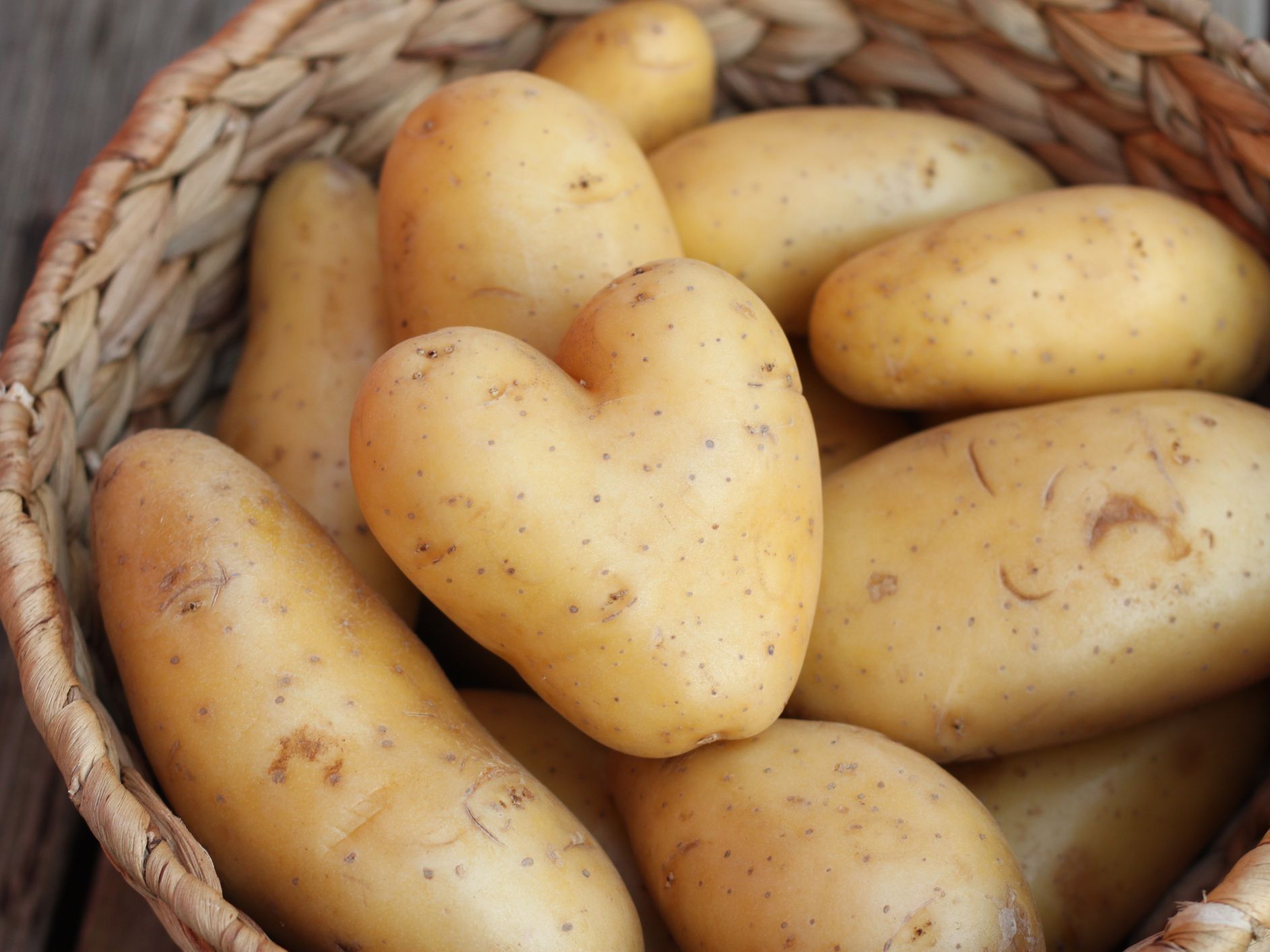 potato images