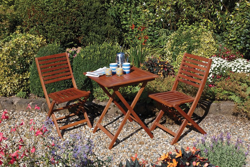 Plant, Garden, Shrub, Outdoor furniture, Furniture, Table, Outdoor table, Groundcover, Yard, Patio, 