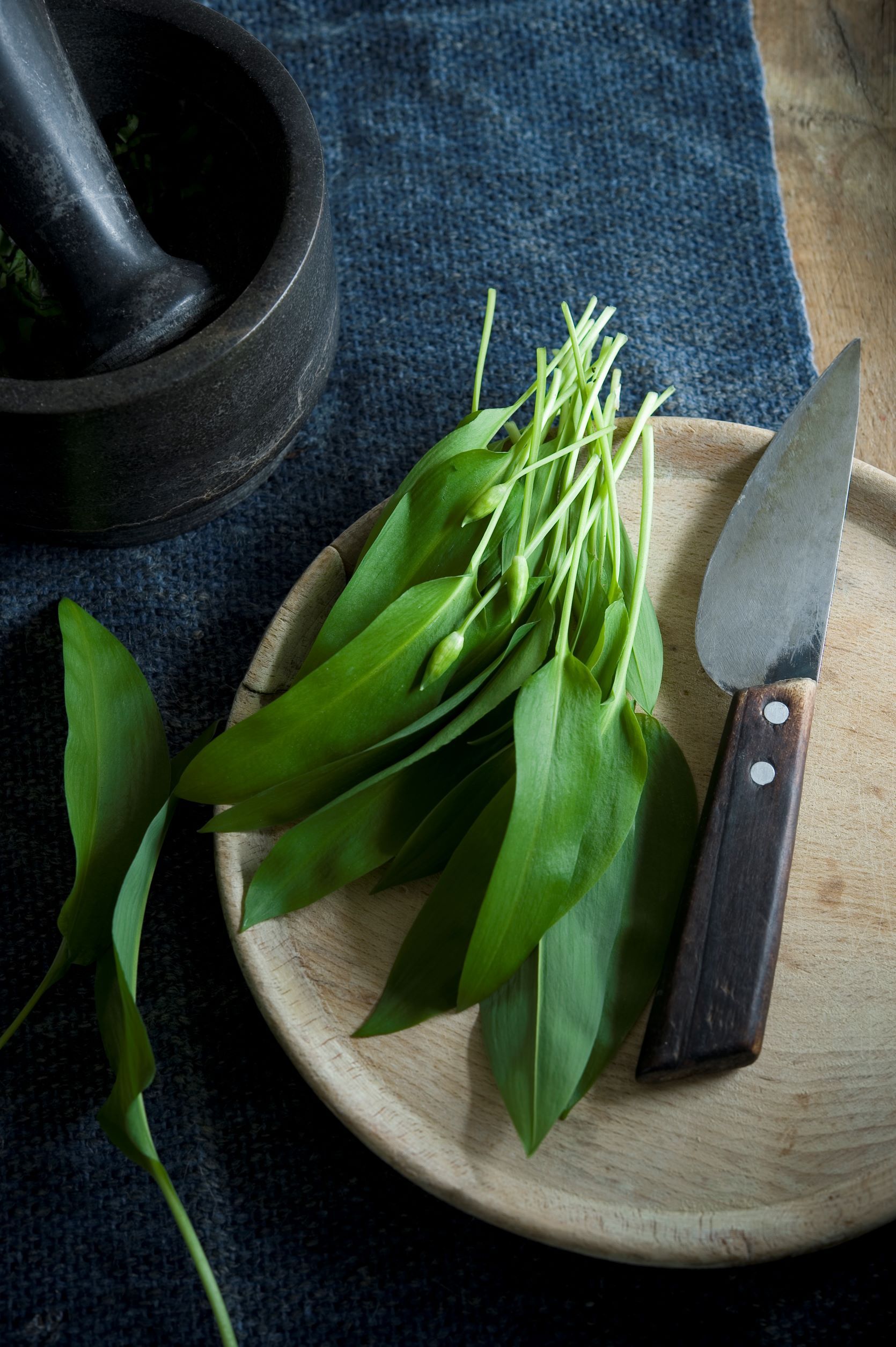 Wild garlic: How to forage for wild garlic & wild garlic recipes