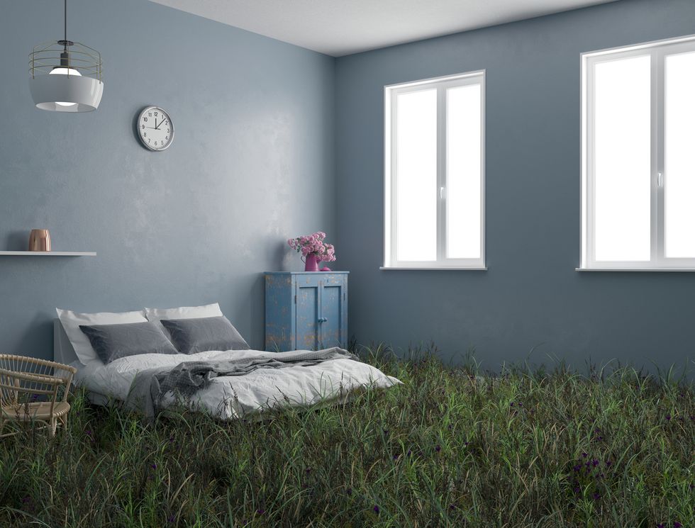 wild lawn in a bedroom