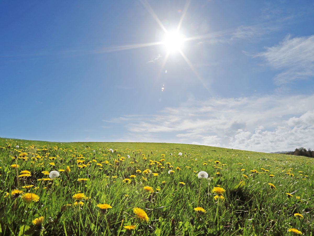 Why the Northern Hemisphere is about to have its earliest spring in 124  years