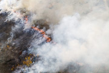 wildfire line with flames and smoke aerial