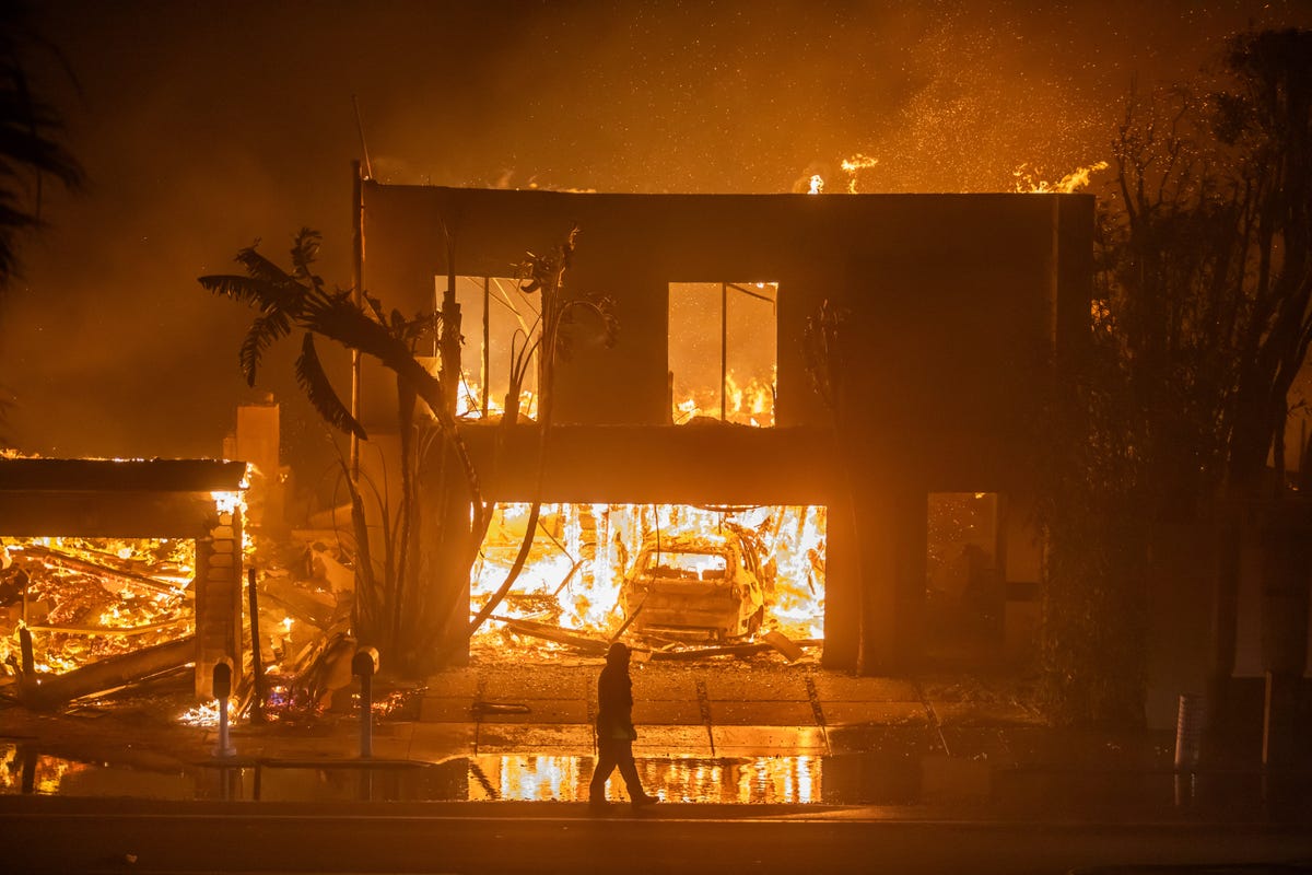 Nein, die Waldbrände in Los Angeles sind nicht der große Gleichmacher