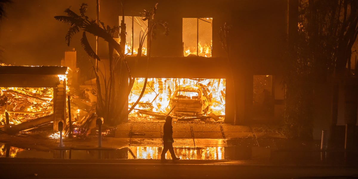 Nein, die Waldbrände in Los Angeles sind nicht der große Gleichmacher