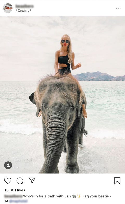 Op sociale media als Instagram wemelt het van kiekjes van toeristen met wilde dieren Met n klik op de smartphone gaan zulke fotos de hele wereld over Vaak hebben de toeristen en hun volgers geen idee van de omstandigheden waarin die exotische dieren levenLees het hele verhaal natgeonlwildlifetoerisme