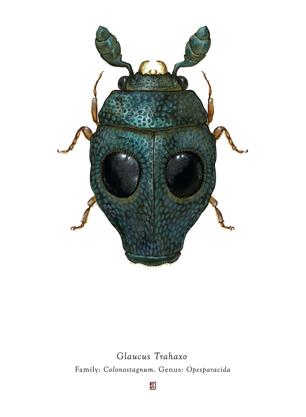 Insect, Invertebrate, Beetle, Ground beetle, Organism, Macro photography, Leaf beetle, Jewel bugs, Blister beetles, Dung beetle, 