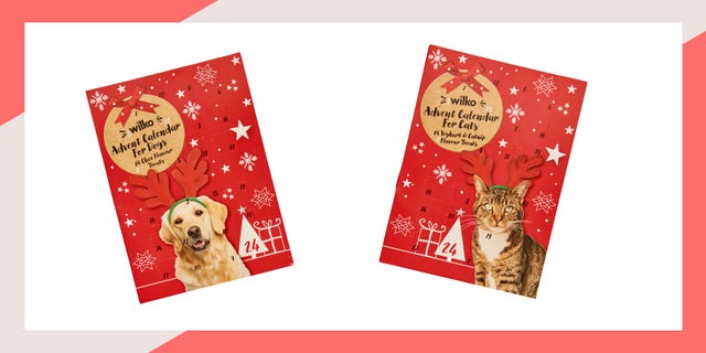 wilko pet advent calendars cats and dogs