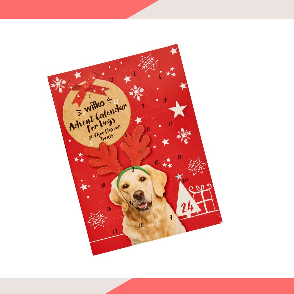 wilko pet advent calendars cats and dogs