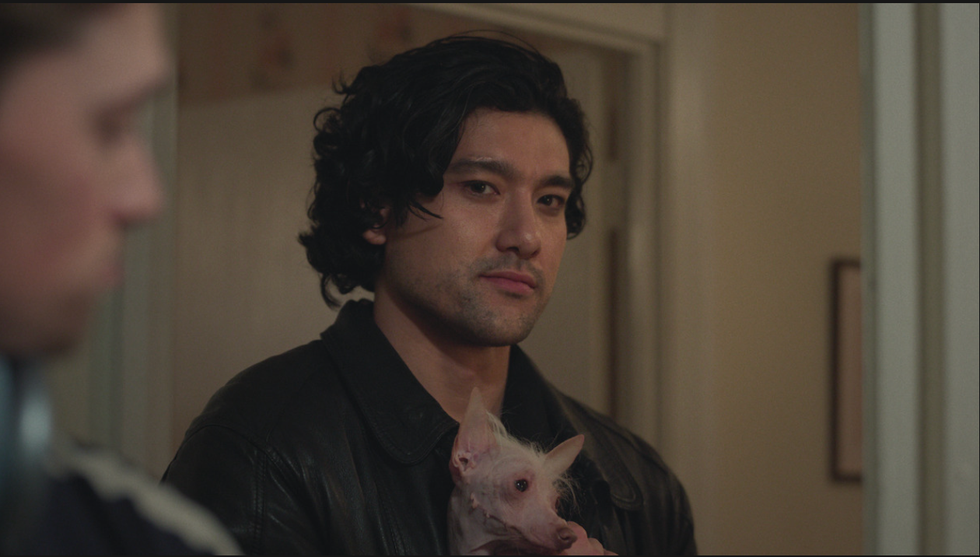 a person holding a small hairless dog indoors