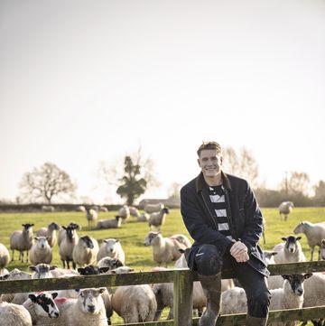 a man sitting on a fence with a herd of sheep behind him