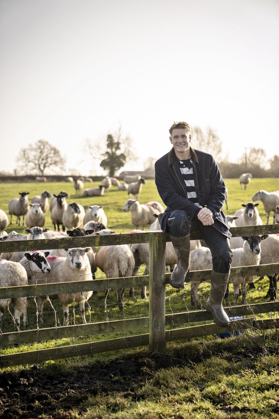a man sits on a fence with a flock of sheep behind him